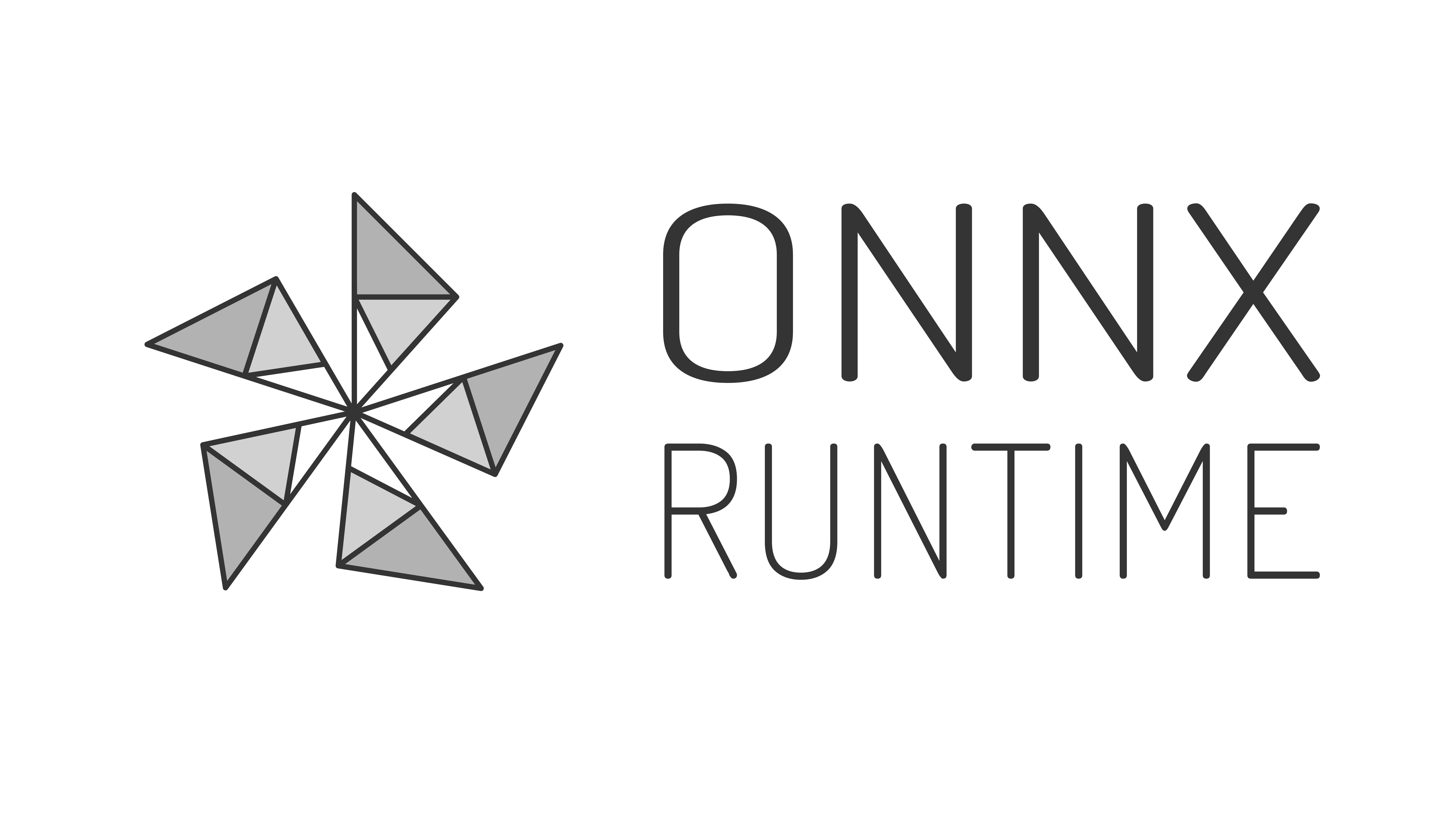 ONNX Runtime